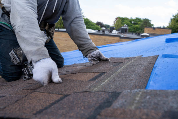 Best Green or Eco-Friendly Roofing Solutions  in Southport, IN